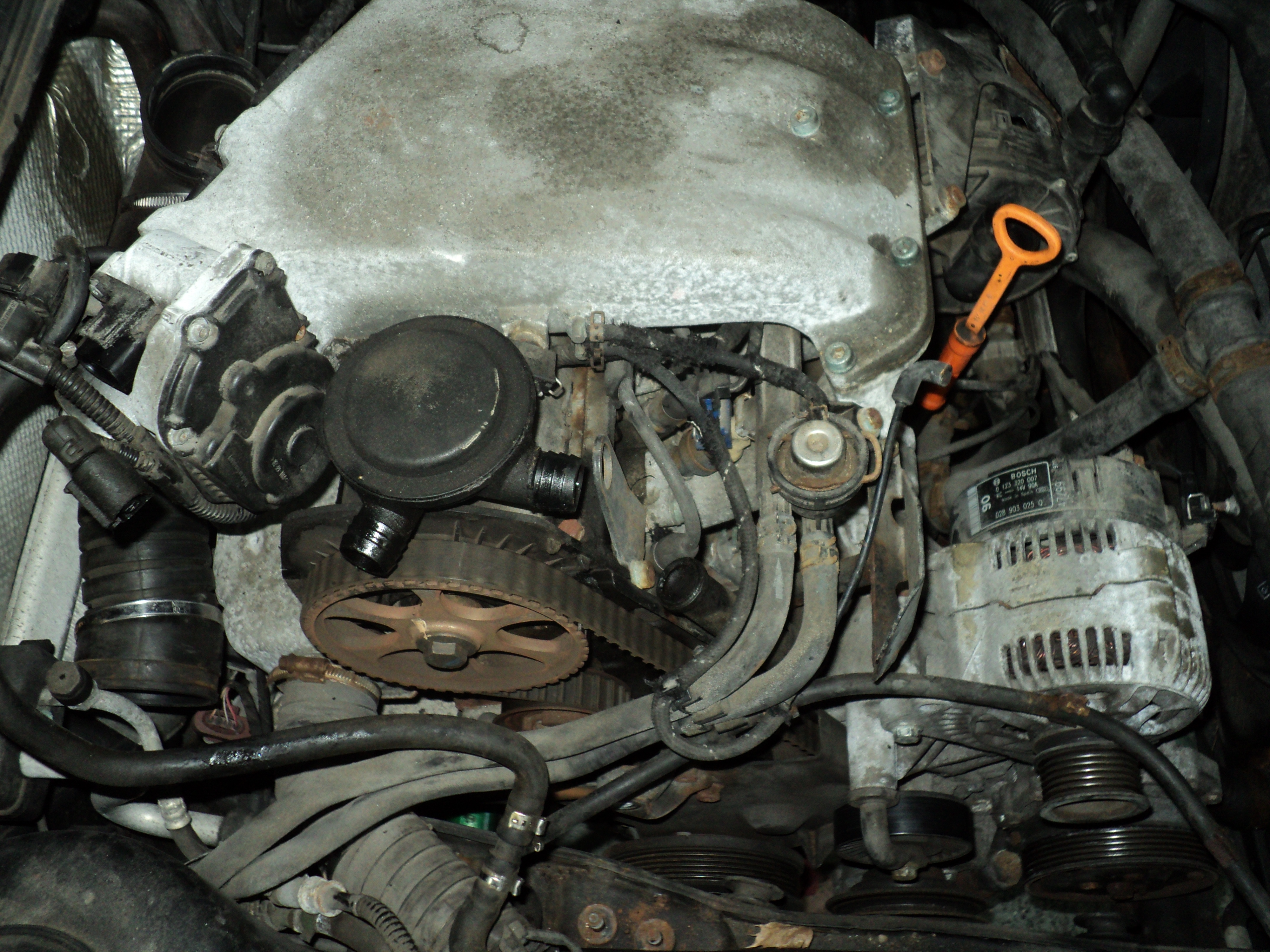 Start-of-a-timing-belt-replacement-on-a-2000-VW-cabrio